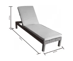 Broyhill Eagle Brooke All-Weather Wicker Cushioned Chaise Lounger -RAZOR COSCO SHOP 810459548 810555202 810555245 X0 1