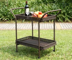 All-Weather Wicker Serving Cart -RAZOR COSCO SHOP 810478059