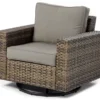 Broyhill Eagle Brooke All-Weather Wicker Swivel Cushioned Patio Glider