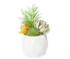 Mixed Succulents In Geometric Ceramic Pot