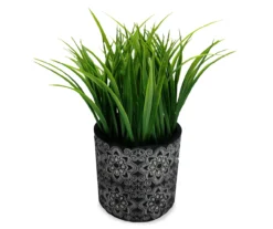 Grass Plant In Black Cement Pot