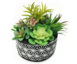 Mixed Succulents In Cement Bowl Pot