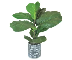 36" Fig Plant In Silver Cement Pot