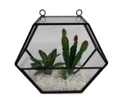 Succulents In Black Hanging Glass Planter