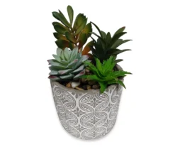 Succulent Arrangement In Engraved Cement Pot