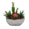Succulent Arrangement in Spotted Cement Pot