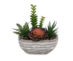 Succulent Arrangement in Spotted Cement Pot