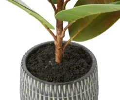 Rubber Plant In Carved Cement Pot -RAZOR COSCO SHOP 810538792 1