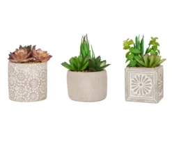 Succulent Plants 3-Piece Decor Set