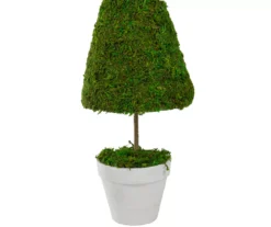 21" Reindeer Moss Cone Topiary In White Pot -RAZOR COSCO SHOP 810574682 2