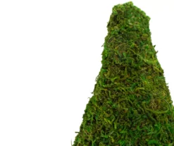 21" Reindeer Moss Cone Topiary In White Pot -RAZOR COSCO SHOP 810574682 3
