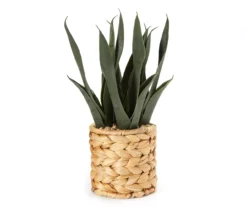 Artificial Snake Plant In Woven Basket