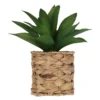 Artificial Succulent In Woven Basket