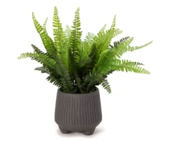 RAZOR COSCO SHOP 3 Artificial Fern In Gray Footed Pot