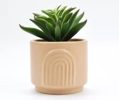 Artificial Succulent In Coral Arch Ceramic Pot