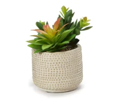 Artificial Succulent Arrangement In Beaded Cement Pot