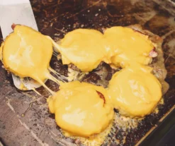 3-Burner Portable Gas Griddle With Lid -RAZOR COSCO SHOP 810590432 9