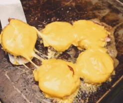 3-Burner Folding Gas Griddle With Lid 23 3-Burner Folding Gas Griddle With Lid -RAZOR COSCO SHOP 810590434 11