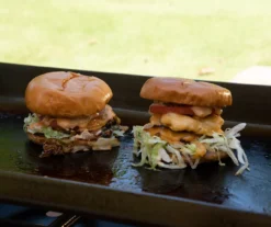 2-Burner Portable Gas Griddle 15 2-Burner Portable Gas Griddle -RAZOR COSCO SHOP 810590437 7