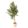 48" Artificial Olive Tree In Terra-Cotta Cement Pot
