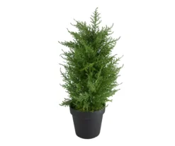 Northlight 2' Cedar Pine Arborvitae Tree In Plastic Pot